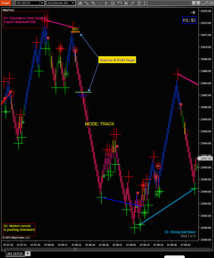(Insert) Printed stop and target lines on the chart